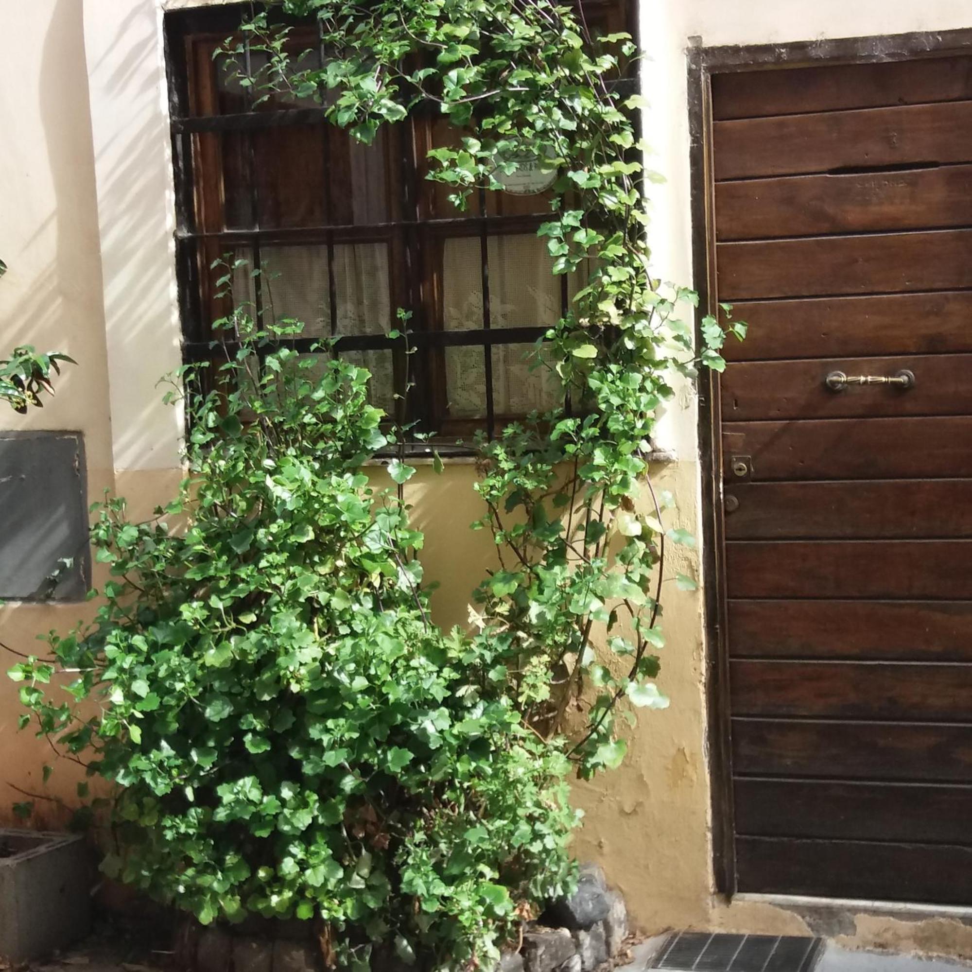 Bed and breakfast Ventisei Scalini A Trastevere Roma